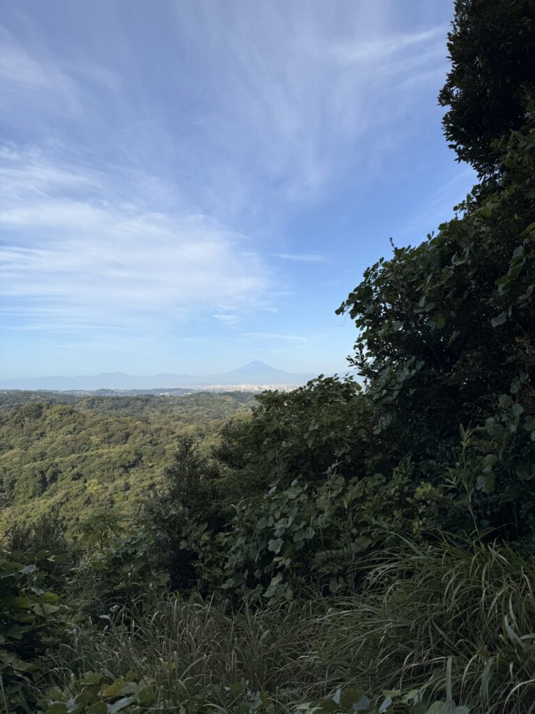 勝上献展望台の草木が邪魔して少し見にくい富士山、冬はもう少し見やすいかな