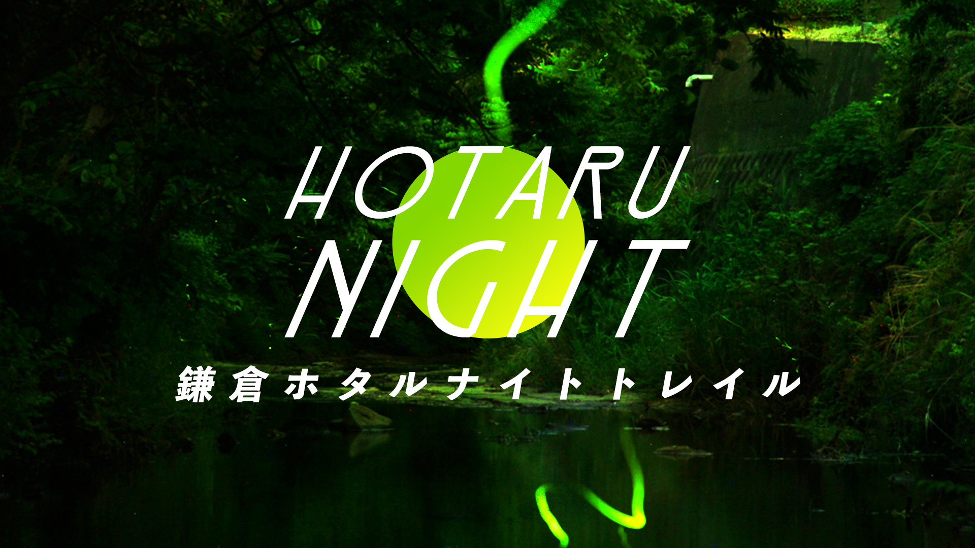 鎌倉ホタルナイトトレイル（トレイルラン・ハイキング）